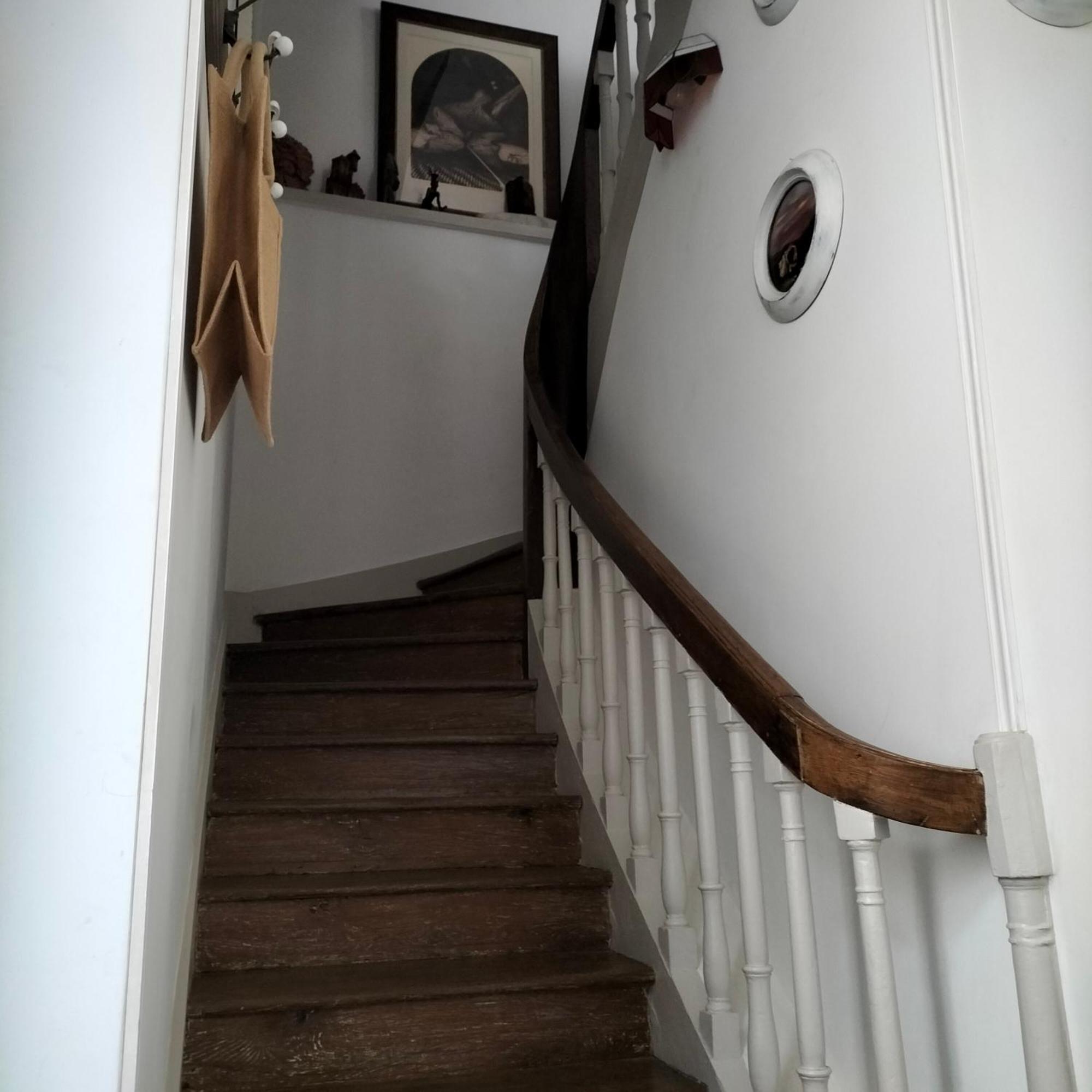 Salamandre Apartment *