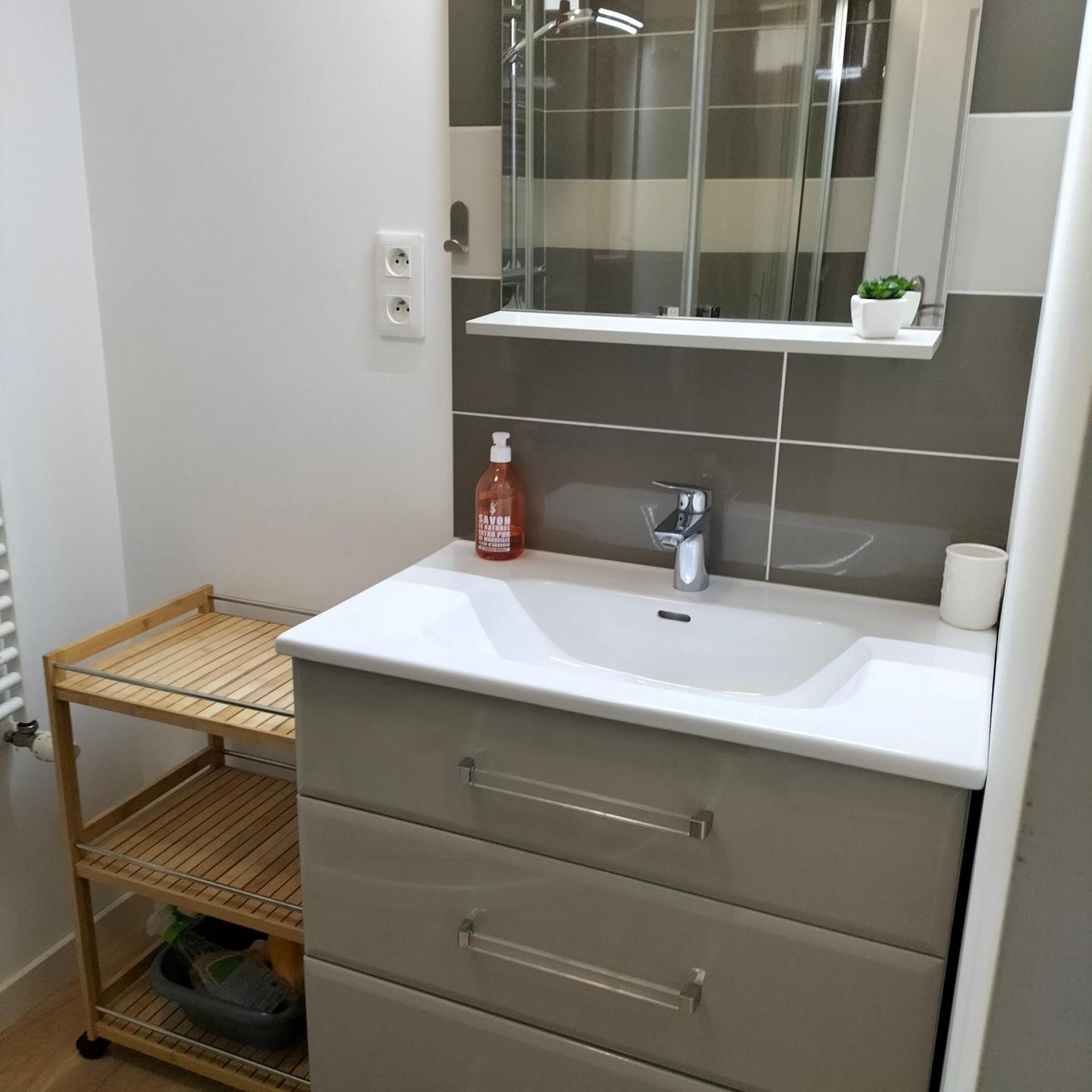 Salamandre Apartment Orleans